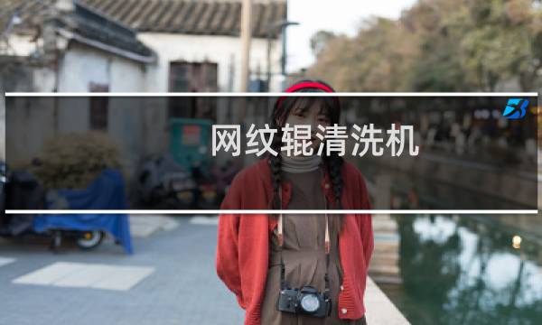 网纹辊清洗机 - 超声波网纹辊清洗机