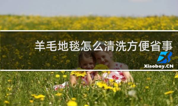 羊毛地毯怎么清洗方便省事 - 高档羊毛地毯怎么洗