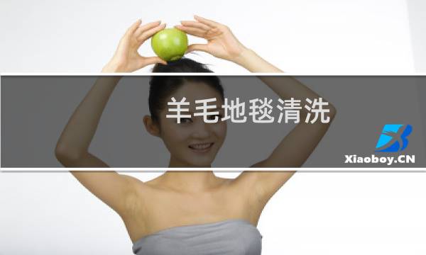 羊毛地毯清洗 - 沙井羊毛地毯清洗