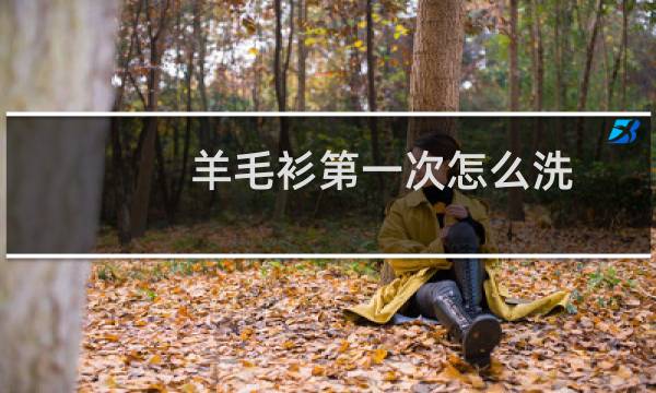 羊毛衫第一次怎么洗 - 羊毛衫在家怎么清洗