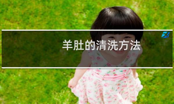 羊肚的清洗方法 - 羊肚怎么洗白