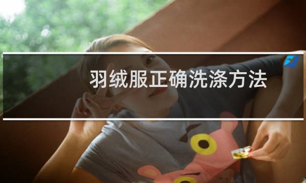 羽绒服正确洗涤方法 - 羽绒服正确洗法