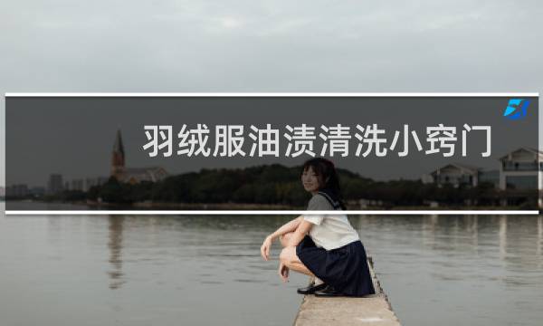 羽绒服油渍清洗小窍门 -