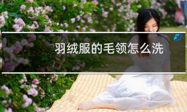 羽绒服的毛领怎么洗 - 羽绒服上的狐狸毛领怎么清洗