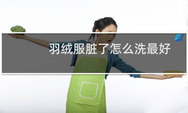 羽绒服脏了怎么洗最好 - 羽绒服怎样洗的干净