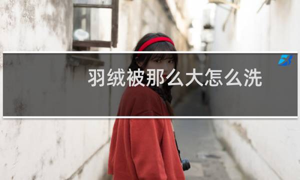 羽绒被那么大怎么洗 - 羽绒服自己在家里怎么洗