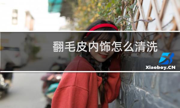 翻毛皮内饰怎么清洗 - 翻毛皮内饰如何打理