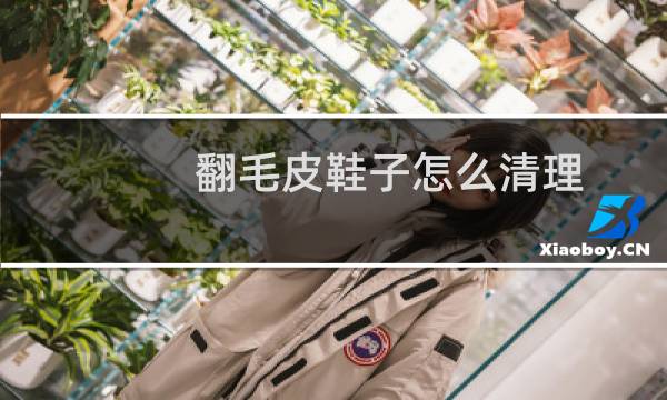 翻毛皮鞋子怎么清理 - 翻毛皮的鞋子清理窍门