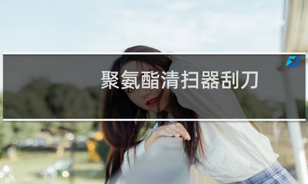 聚氨酯清扫器刮刀 -