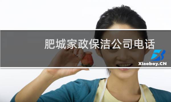 肥城家政保洁公司电话 - 肥城市家政公司有哪些