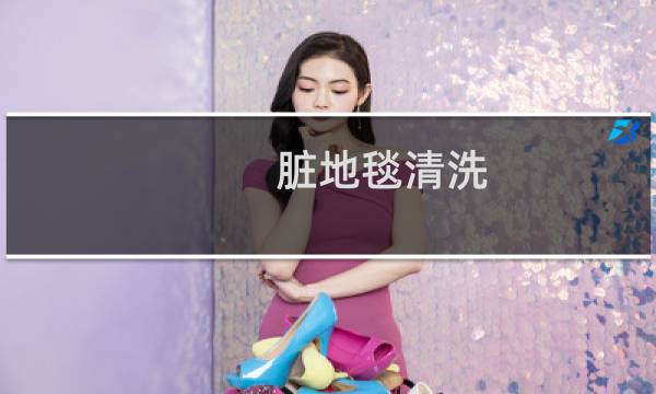 脏地毯清洗 -
