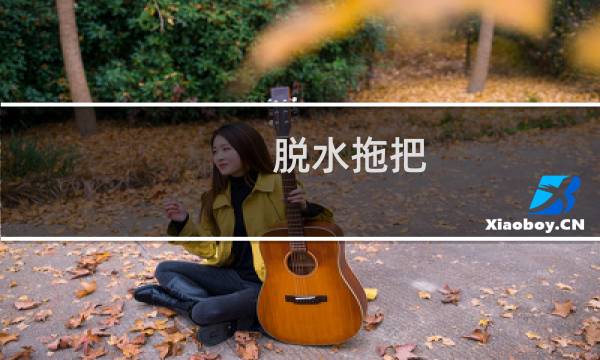 脱水拖把 - 带脱水的拖把头