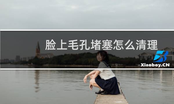 脸上毛孔堵塞怎么清理 - 自己在家怎么清理毛孔堵塞