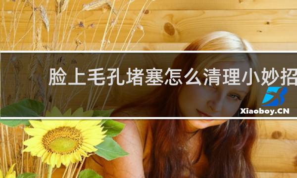 脸上毛孔堵塞怎么清理小妙招 - 脸部毛孔堵塞怎么疏通清理
