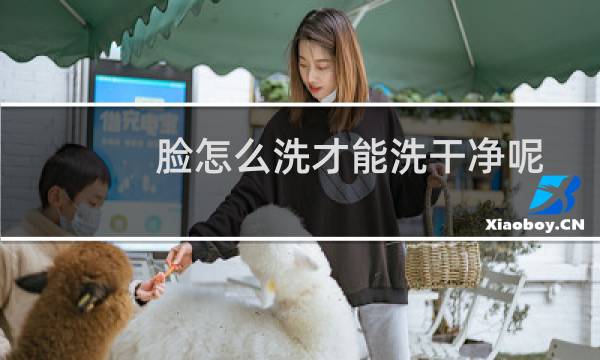 脸怎么洗才能洗干净呢 - 怎样把脸洗干净小窍门