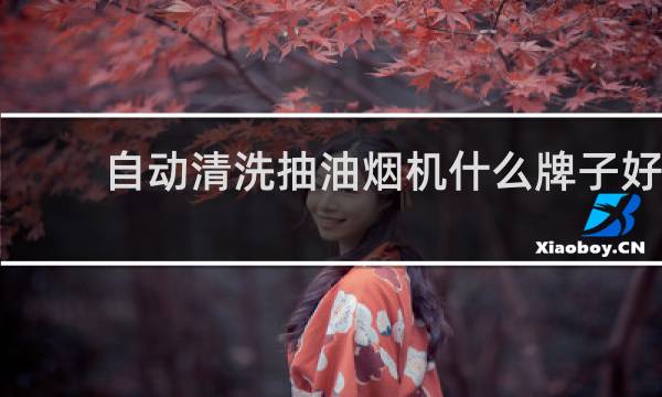 自动清洗抽油烟机什么牌子好 - 油烟机清洗设备哪个牌子好