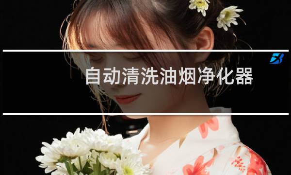 自动清洗油烟净化器 - 自动清洗油烟装置
