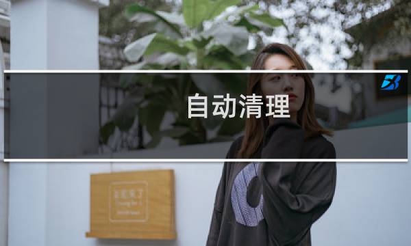 自动清理 - 下载自动清理软件