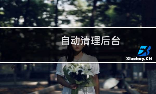 自动清理后台 - tplink自动清理是什么意思