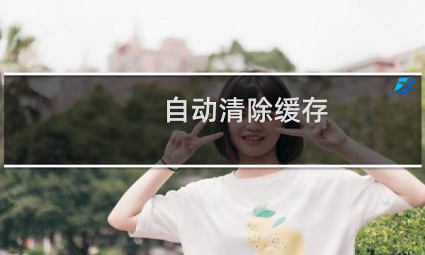 自动清除缓存 - 自动清理所有缓存