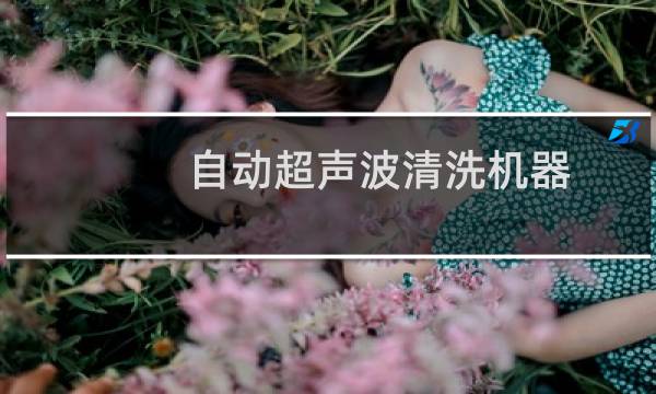 自动超声波清洗机器 - 全自动超声波清洗机图片