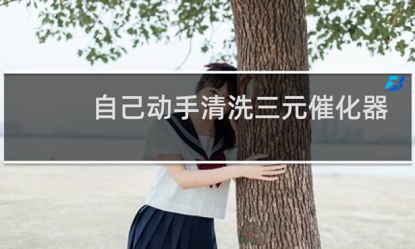 自己动手清洗三元催化器 - 最正确的清洗三元催化器方法