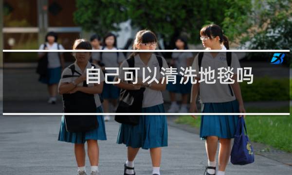 自己可以清洗地毯吗 - 自己在家怎么洗大块地毯