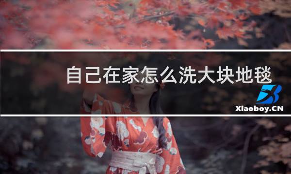 自己在家怎么洗大块地毯 - 附近清洗地毯