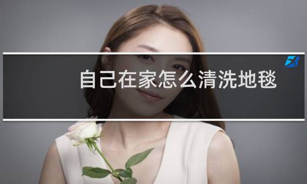 自己在家怎么清洗地毯 - 自己在家怎么洗大块地毯