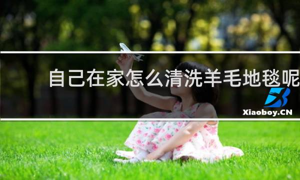 自己在家怎么清洗羊毛地毯呢 - 客厅羊毛地毯怎么清洗