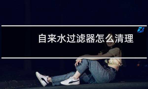 自来水过滤器怎么清理 - 自来水前置过滤器怎么清理