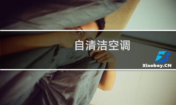 自清洁空调 - 空调自清洁原理