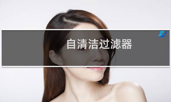 自清洁过滤器 - RFQ自清洗过滤器