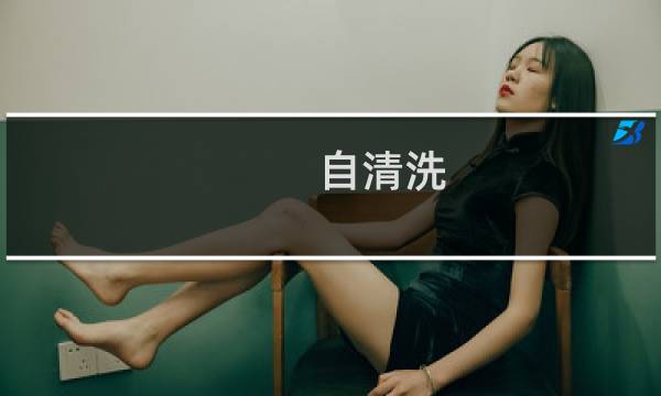 自清洗 - 自清洗是什么