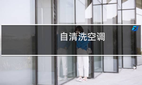 自清洗空调 - 自己清洗空调