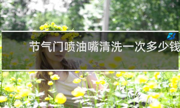 节气门喷油嘴清洗一次多少钱 - 4s店清洗节气门喷油嘴多少钱