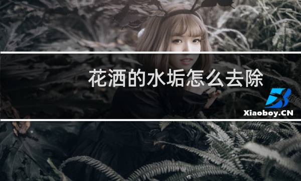 花洒的水垢怎么去除 - 花洒除水垢的方法哪种最有效