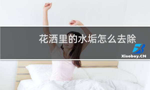 花洒里的水垢怎么去除 - 淋浴花洒水垢清除妙招