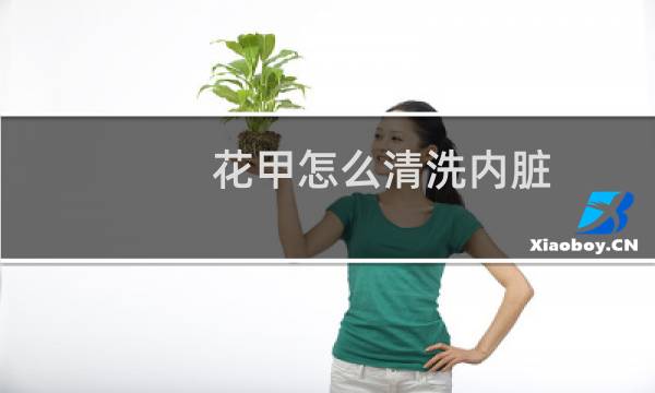 花甲怎么清洗内脏 - 花甲怎么清洗内脏视频