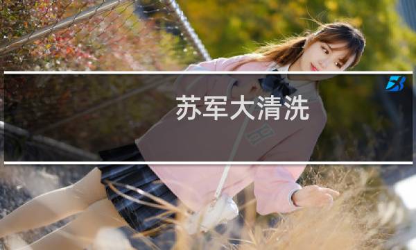 苏军大清洗 - 苏联的大清洗运动