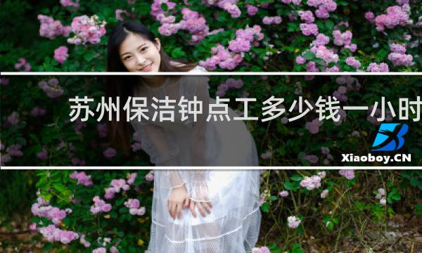 苏州保洁钟点工多少钱一小时 - 苏州家政小时工多少钱一小时