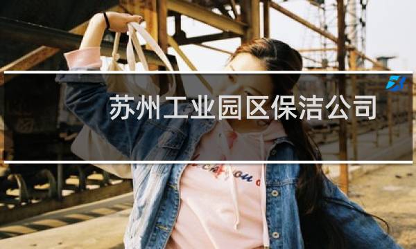苏州工业园区保洁公司 - 苏州工业园区酒店转让