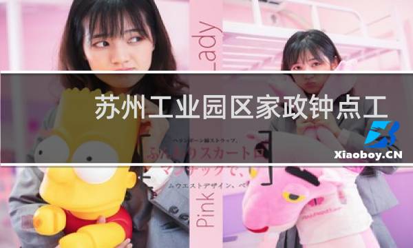 苏州工业园区家政钟点工 - 苏州工业园区临时工招聘信息