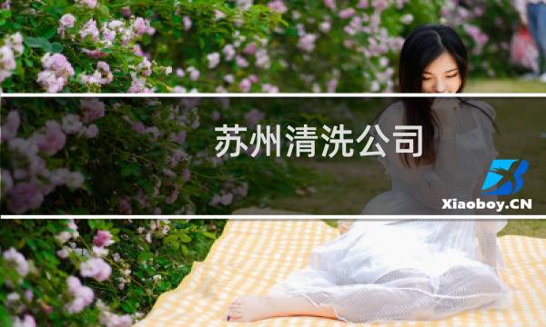 苏州清洗公司 - 苏州深度清洗公司