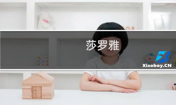 莎罗雅(东莞)清洁用品有限公司 - 上海莎罗雅生物科技有限公司