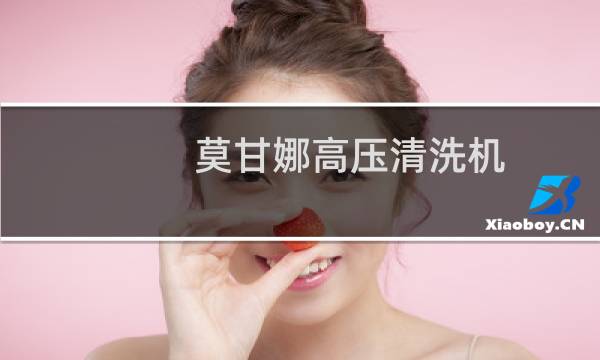 莫甘娜高压清洗机 - 莫甘娜高压清洗机水管