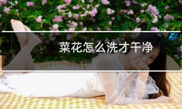 菜花怎么洗才干净 - 怎么洗花菜最干净