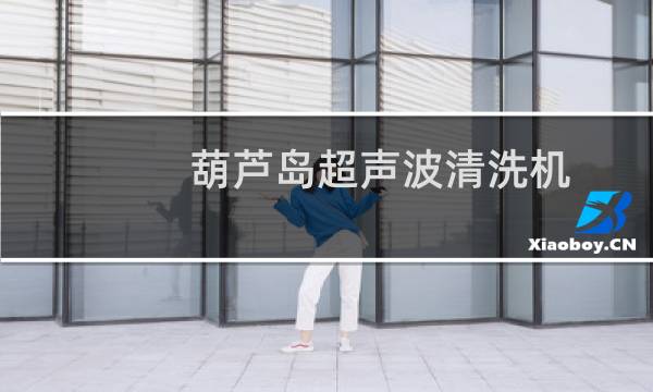 葫芦岛超声波清洗机 -