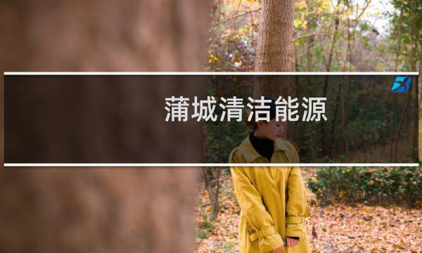 蒲城清洁能源 - 蒲城清洁能源总经理封建利