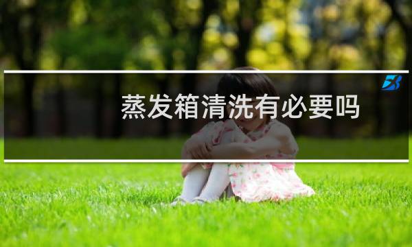 蒸发箱清洗有必要吗 - 4s店清洗空调忽悠